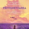 Coperta cărții Privighetoarea de Kristin Hannah, ediția Litera, colecția Blue Moon